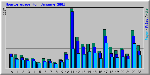 Hourly usage for January 2001