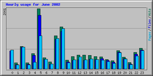 Hourly usage for June 2002