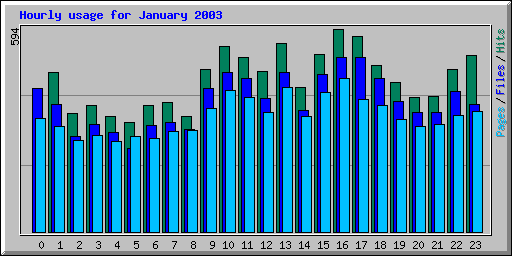 Hourly usage for January 2003